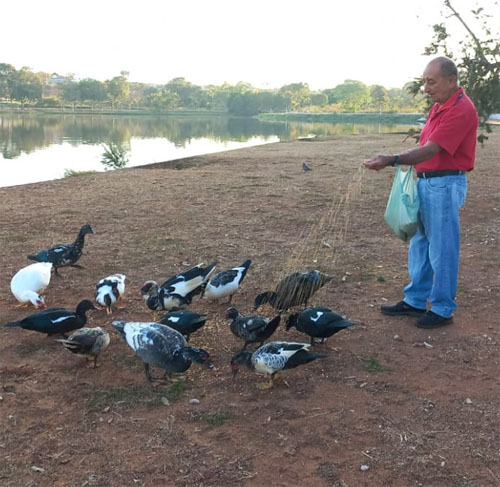 Joaquim Pedro: Ação diária de alimentar patos teve início  por perceber a fome das aves