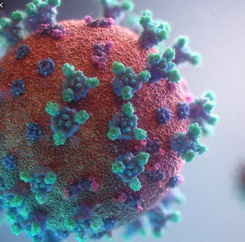 Coronavírus: Ameaça de tamanho microscópico
