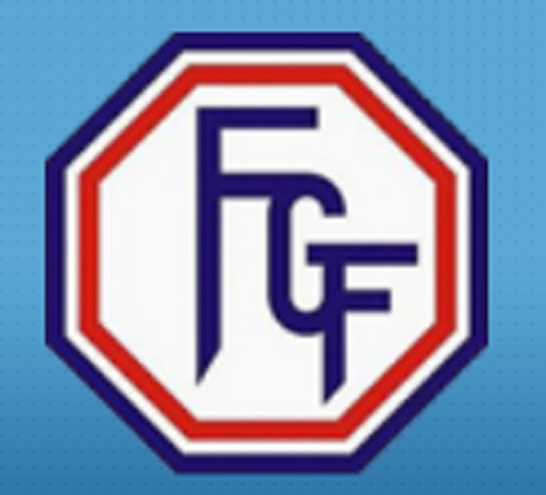 Federação Goiana de Futebol é que organiza o campeonato