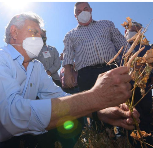 Em Jussara, Caiado faz abertura oficial da colheita da safra 2021 de feijão irrigado do Vale do Araguaia: “A região apresenta um dos maiores percentuais de produtividade de áreas plantadas de grão” (Foto: Hegon Corrêa)